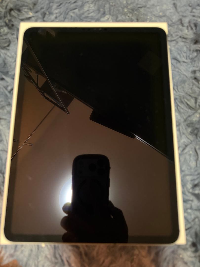 iPad Pro 11インチ 第1世代 wifi+cellular