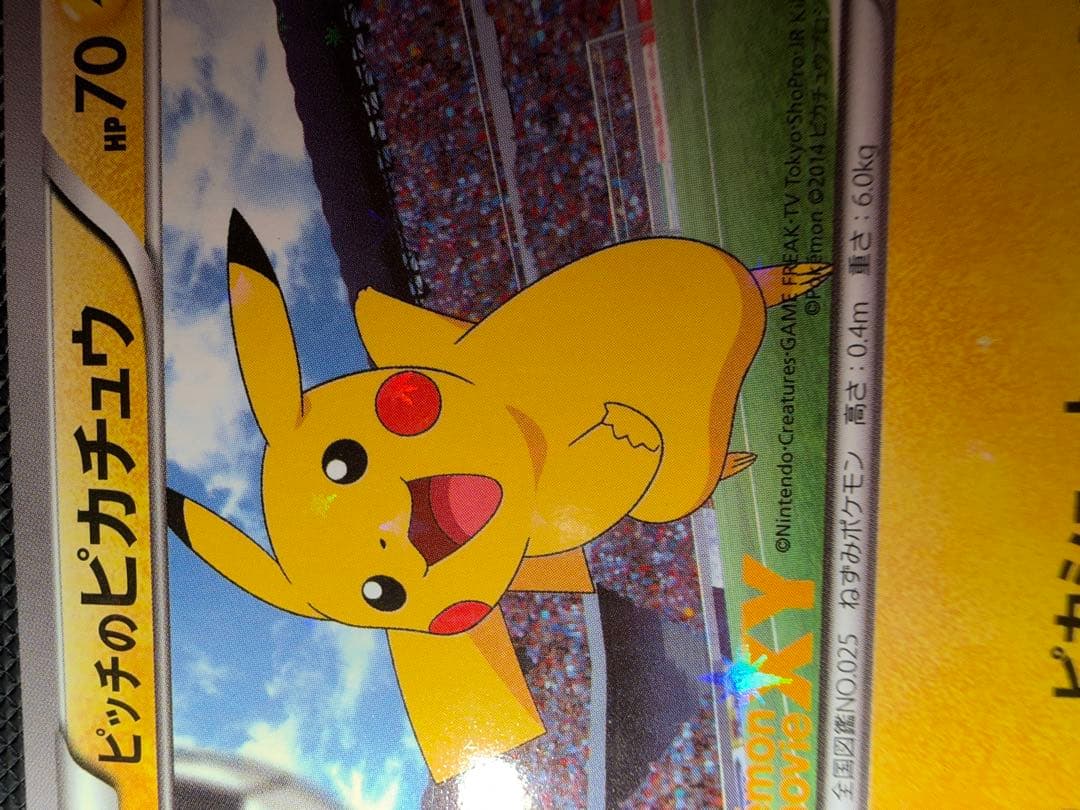 XY-P ピッチのピカチュウ_Jリーグ「ファミリー Joinデイズ」 笑顔版 …