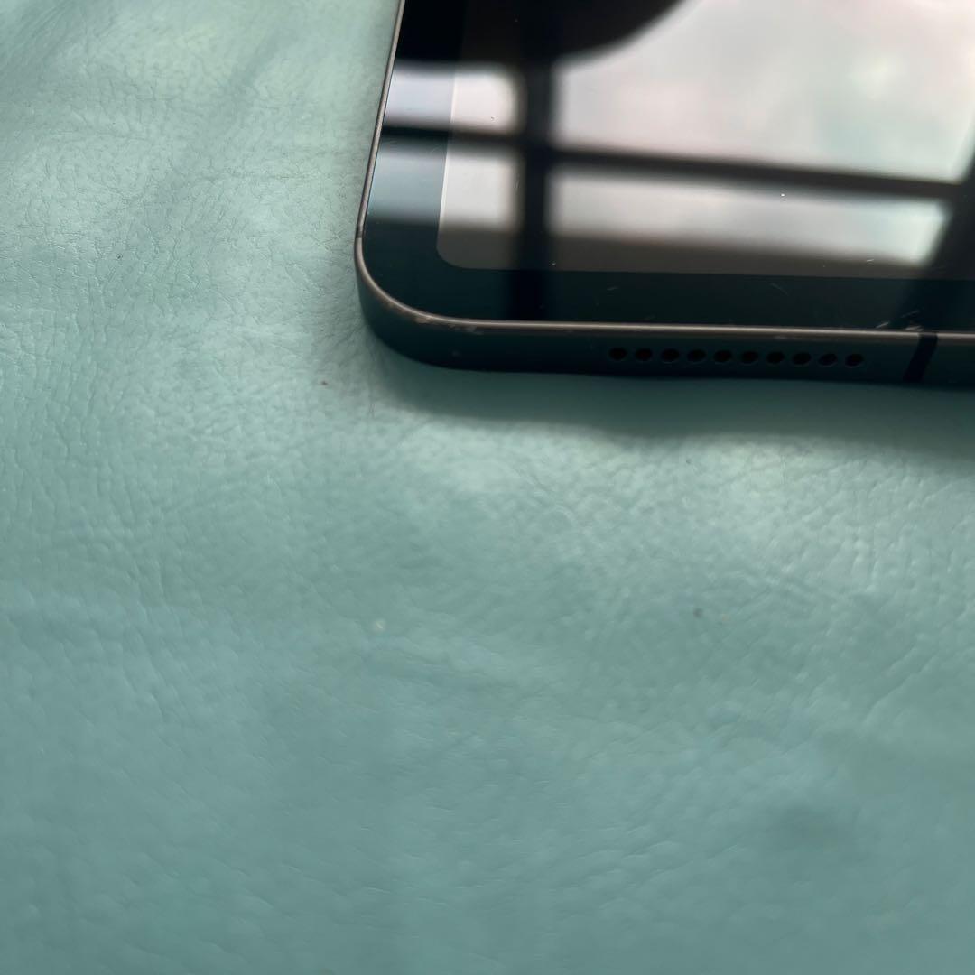 Ipad mini 6 cellular セルラー64GB ケース、ペンシル付き