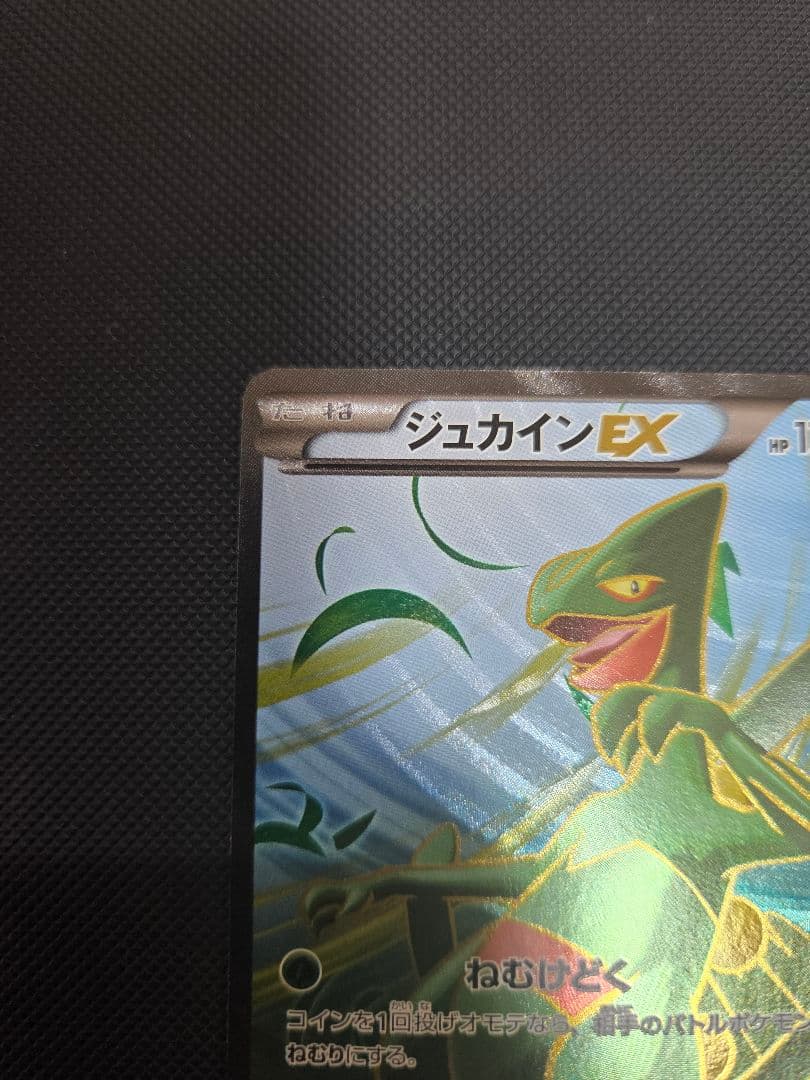 ジュカインEX SR XY7 バンデットリング 082/081