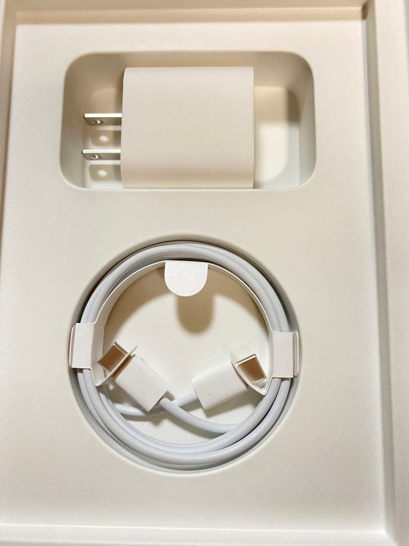 iPad mini 6（第6世代） Wi-Fi+ Cellular 256GB