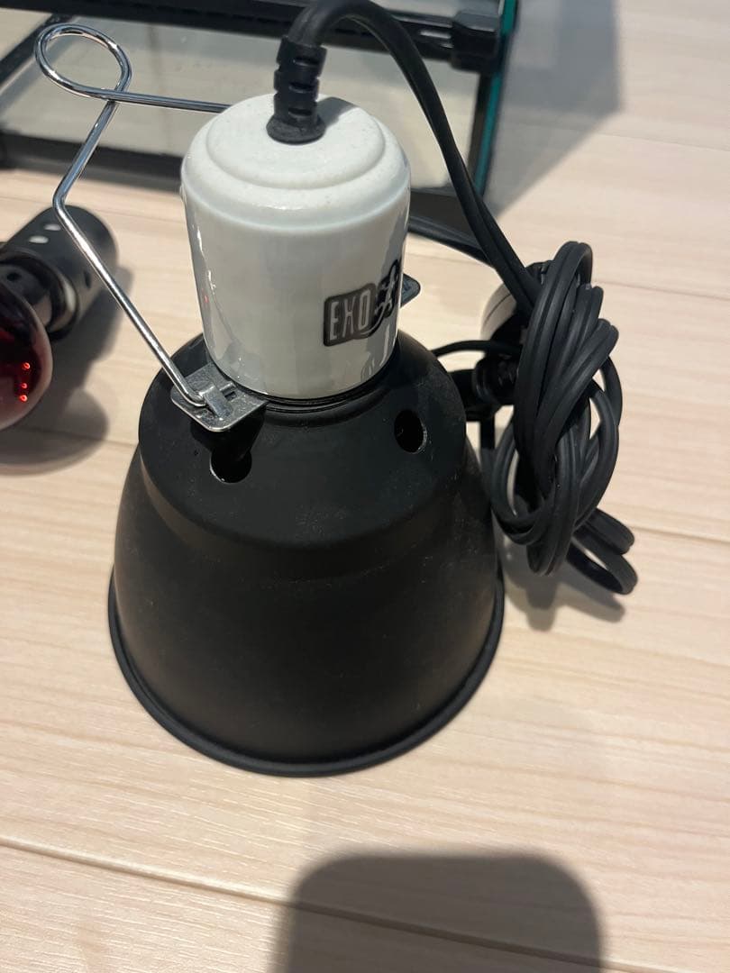 爬虫類　ゲージ　ライト等セット