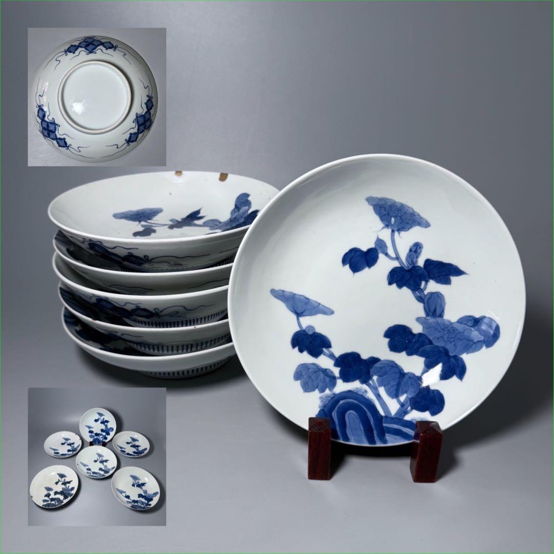 後期鍋島　染付芙蓉文中皿　六客　江戸後期〜明治初期　同手図録掲載品　20.7cm