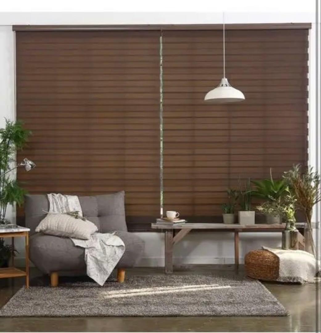 eeHAUS 調光ロールカーテン W170×H210cm