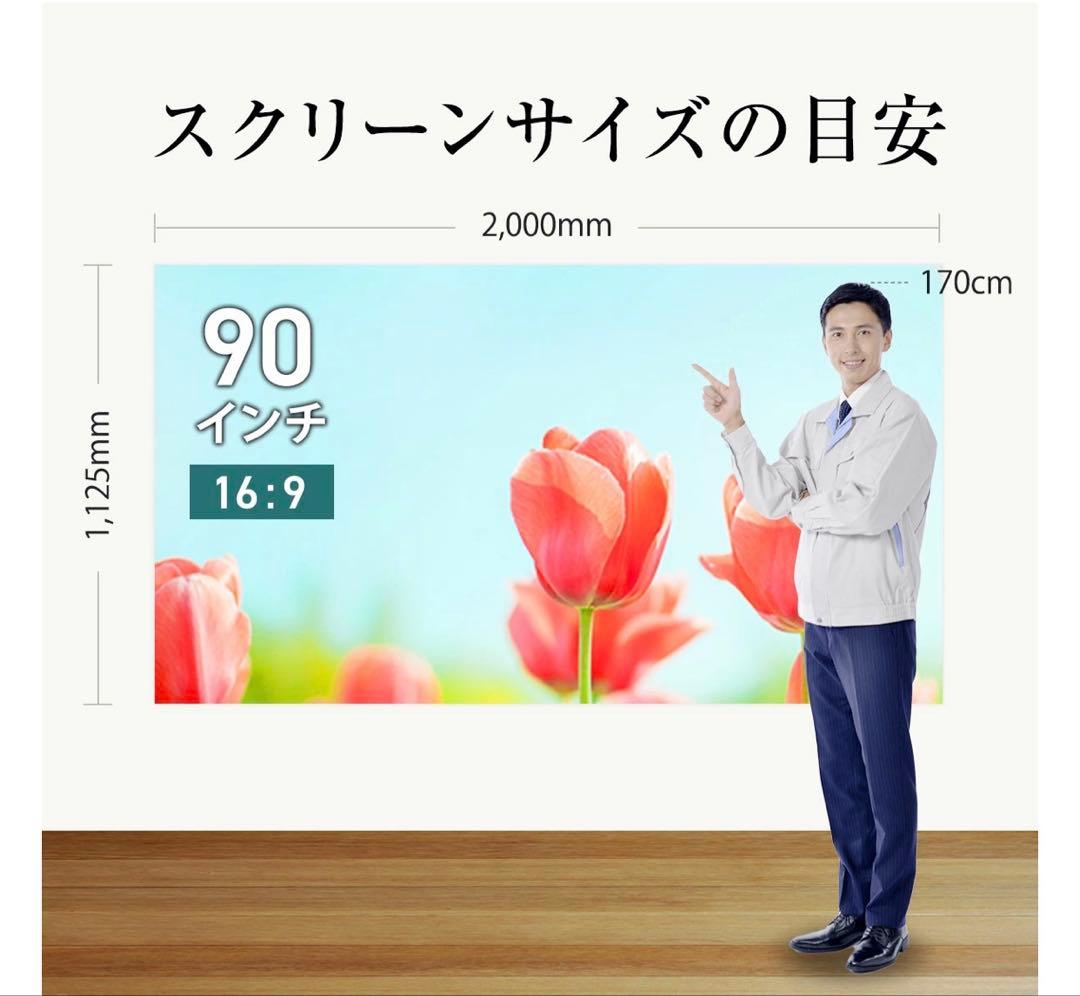 ✨ シアターハウス 掛け軸スクリーン 90インチ BTP1992WEM
