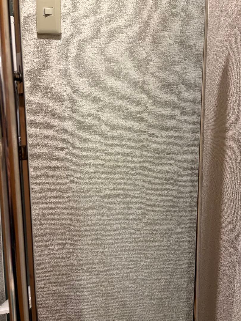 鏡 FRNHT M1 Silver Steel Studio Mirror