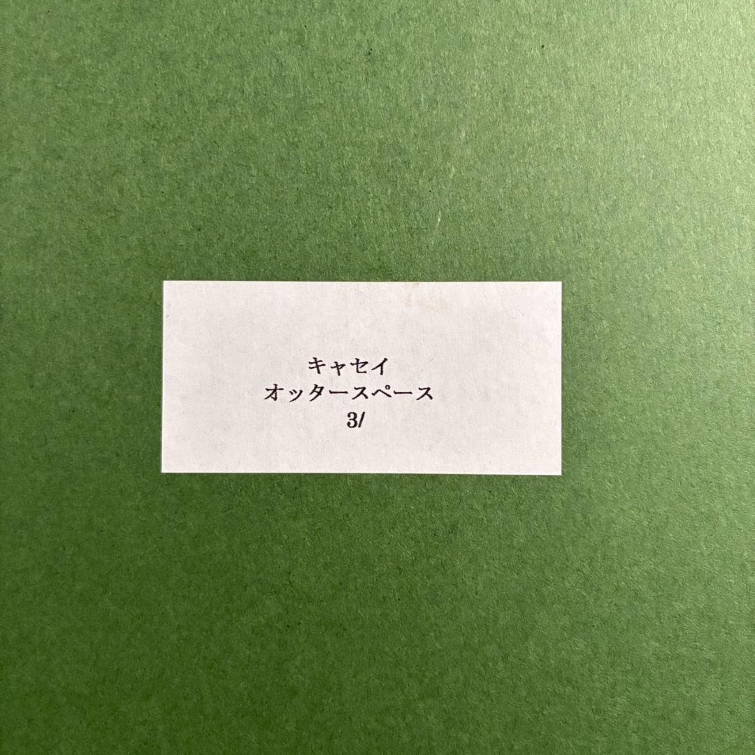 【最終値下げ】美品 アンソニー・キャセイ「オッタースペース」大作 シバクローム