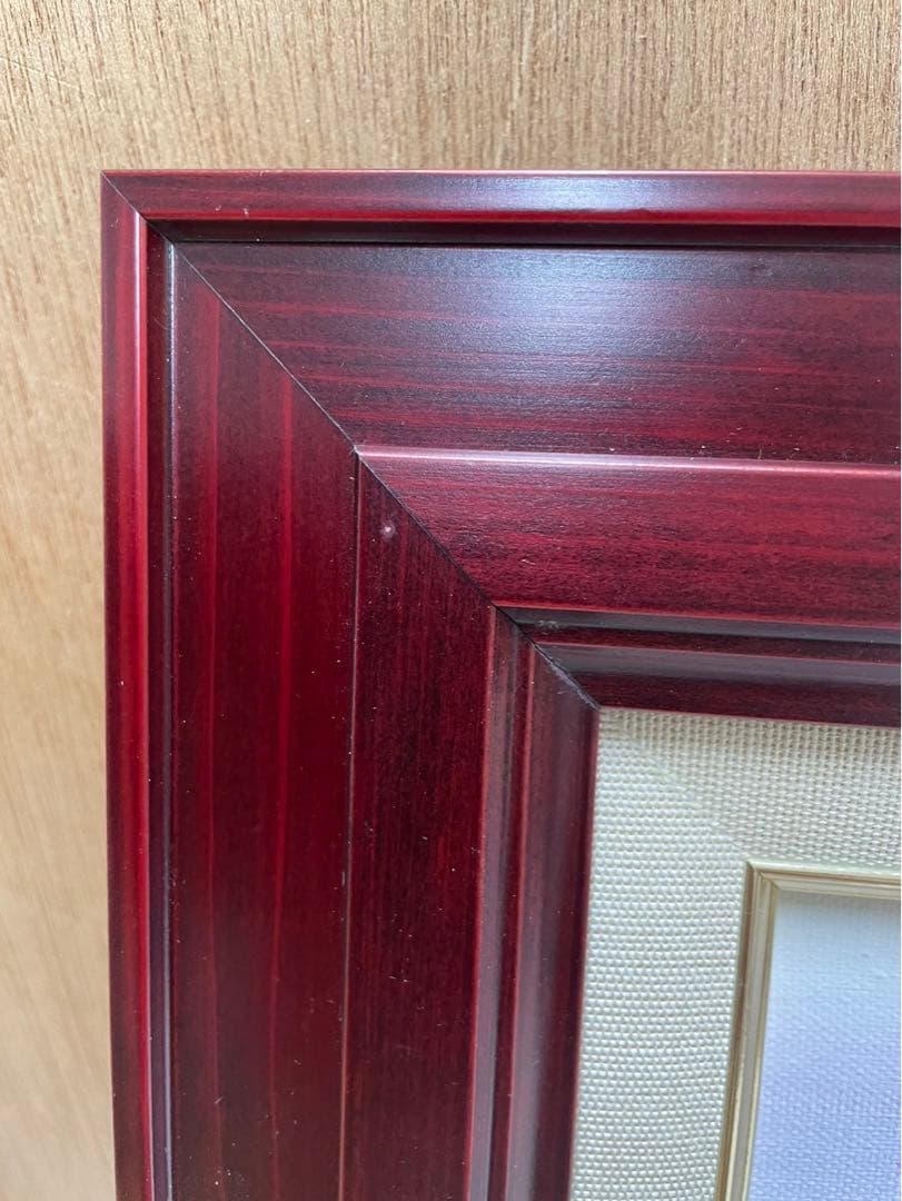 ノースポール✼