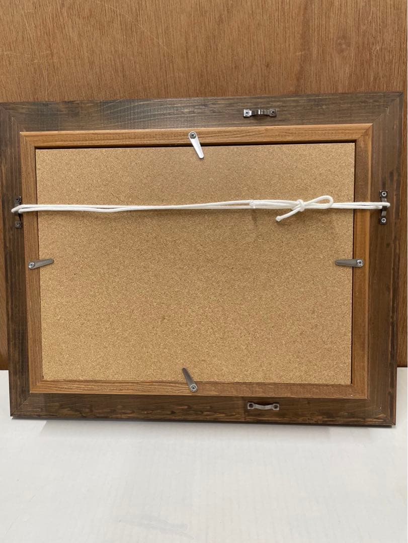 ノースポール✼