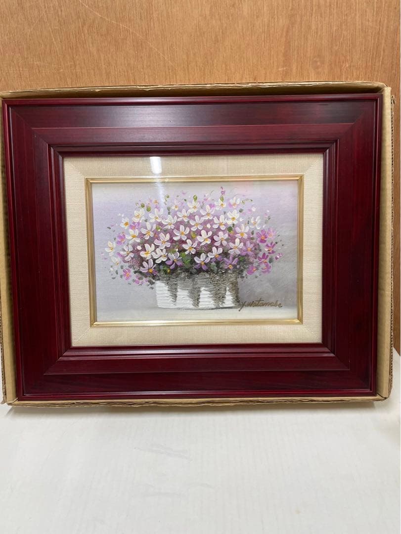 ノースポール✼