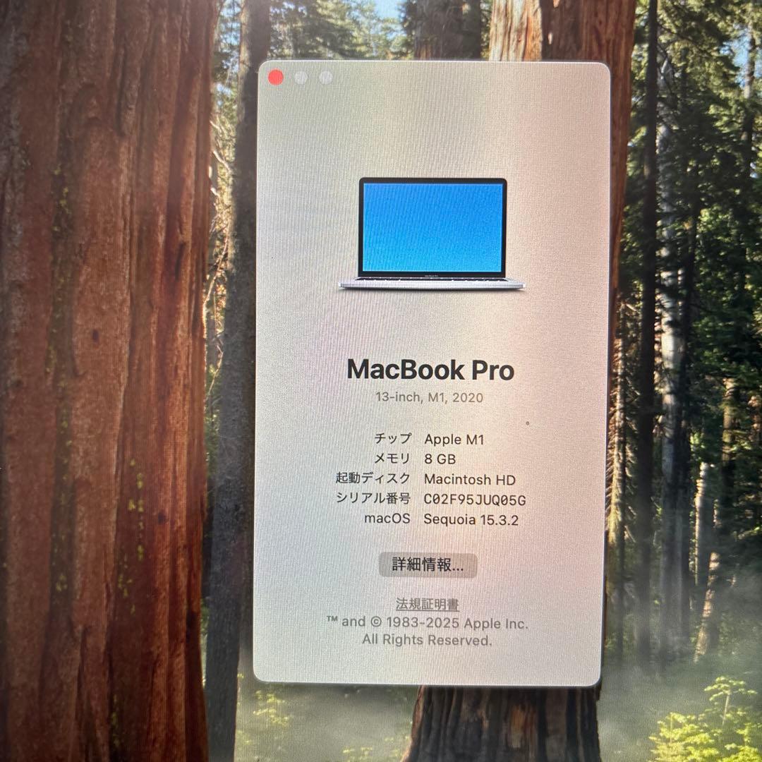 MacBook本体 Tranhung200997MacBook Pro(M1,2020)8GB