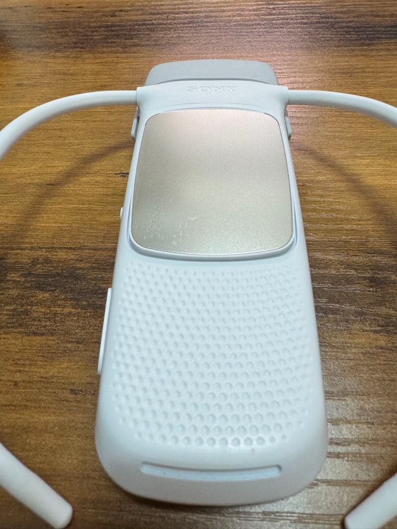 SONY REON POCKET5 社外ケース付き