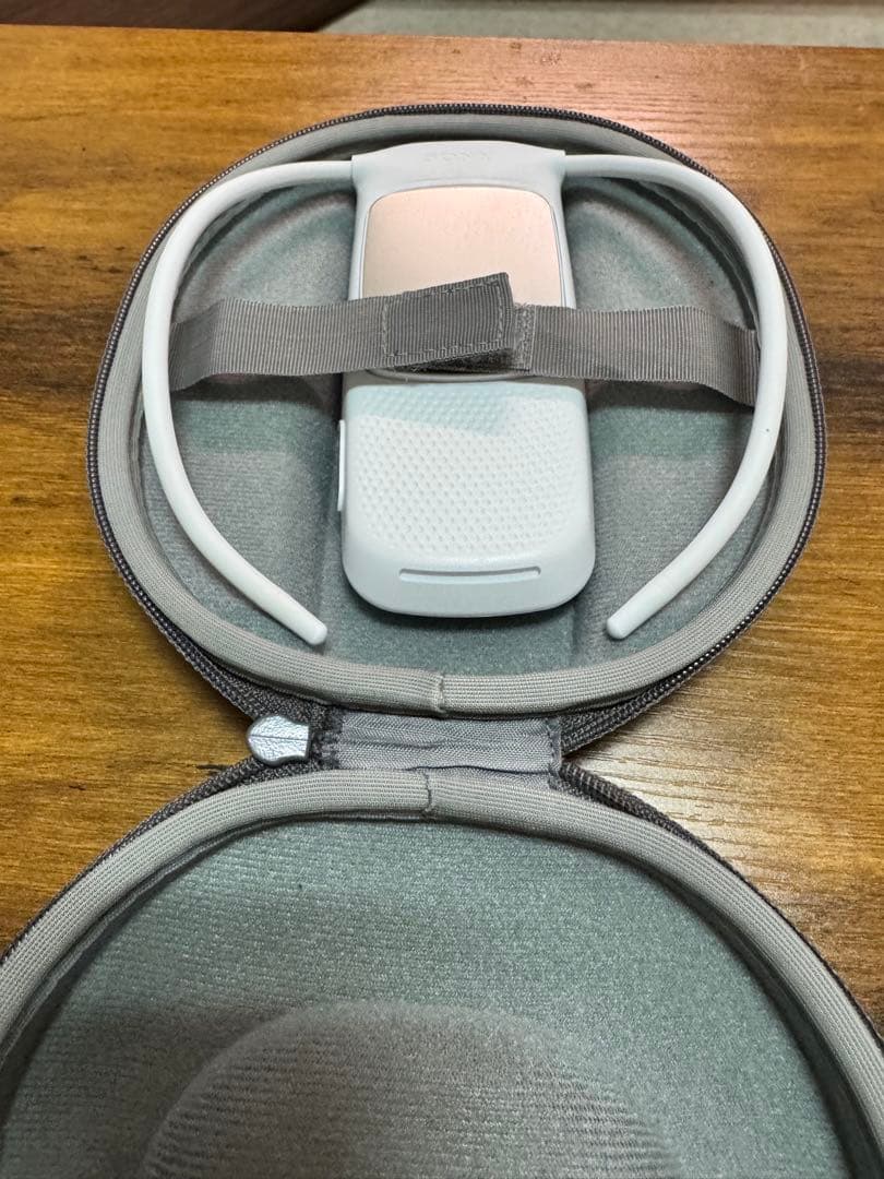 SONY REON POCKET5 社外ケース付き