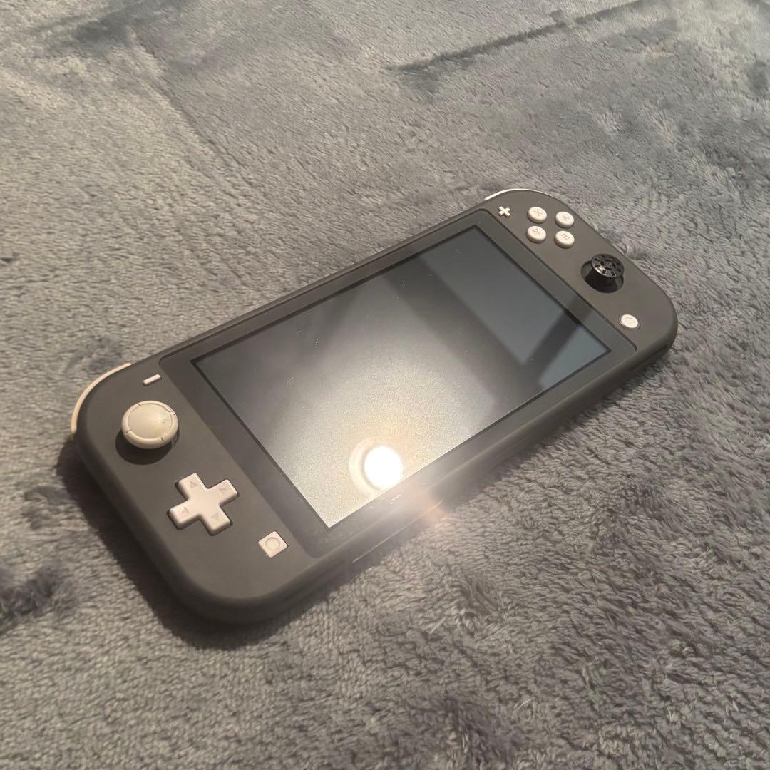 美品 Switch LITE カバー付き 本体 動作確認済み