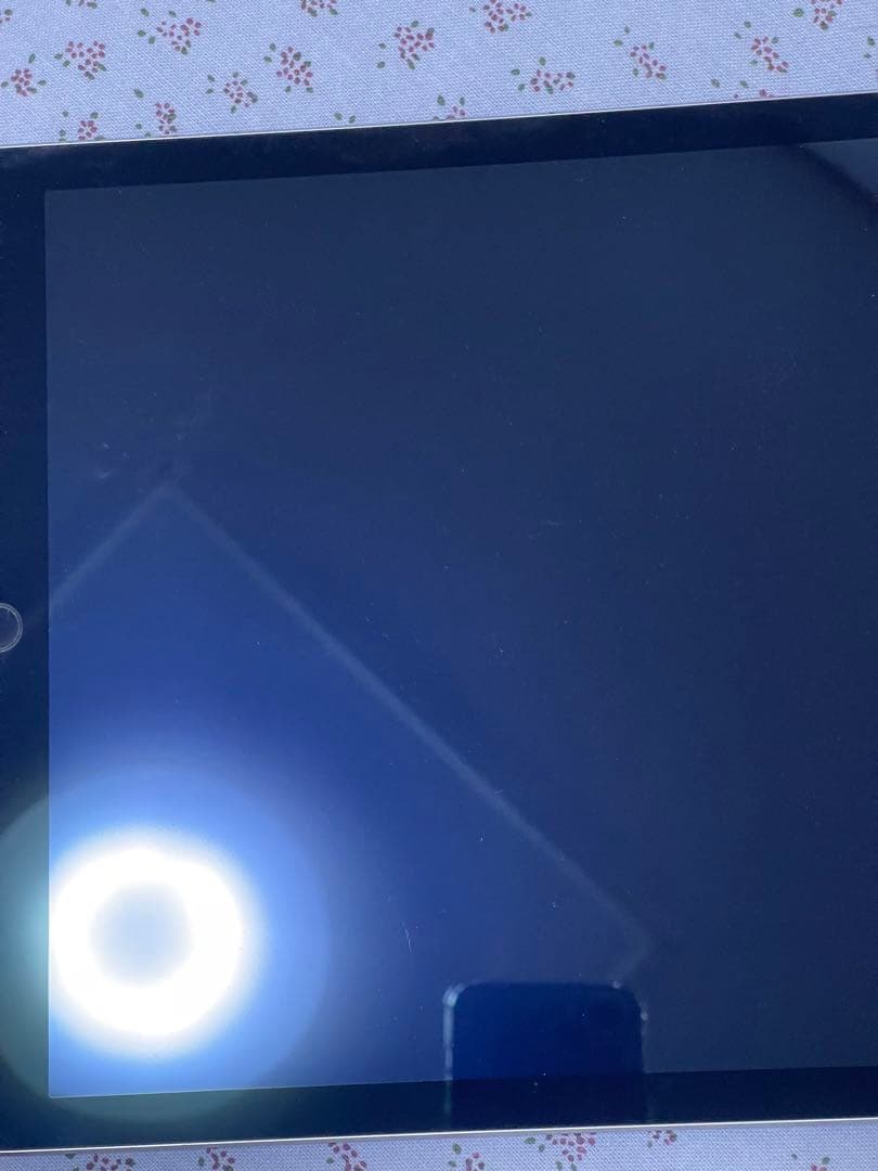 iPad Pro 12.9 (第1世代) 256GB Wi-Fi + セルラー