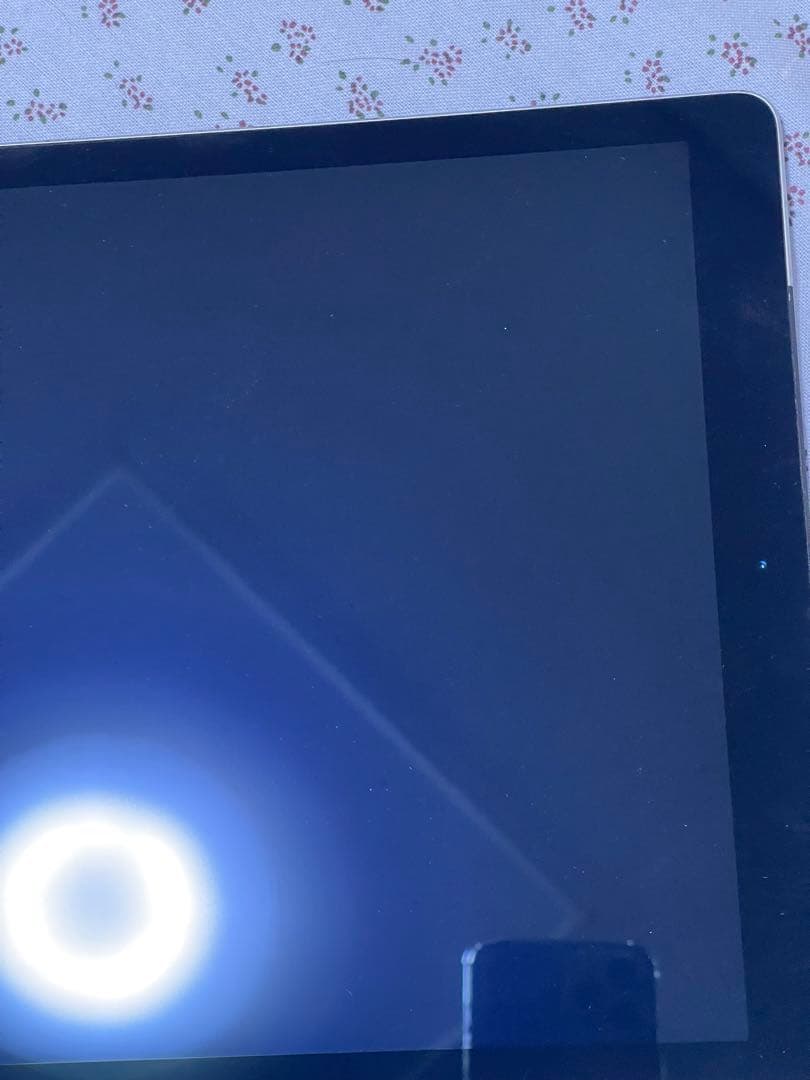 iPad Pro 12.9 (第1世代) 256GB Wi-Fi + セルラー