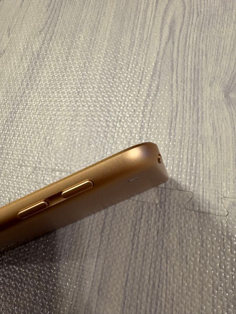 【美品】Apple iPad 第6世代 Wi-Fi 128GB おまけ付き