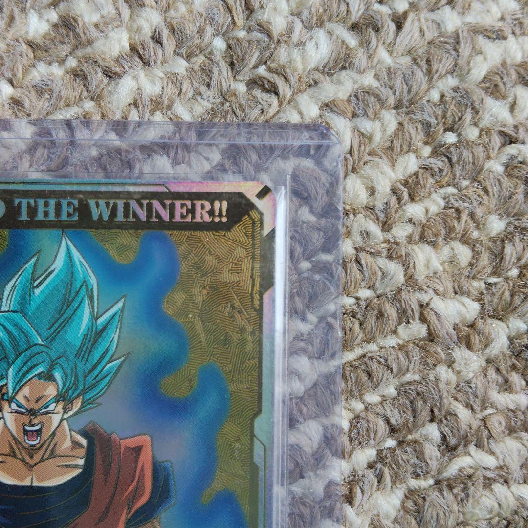 つ*ん様 ダイバーズ大会優勝賞状カード、SRおまけつき