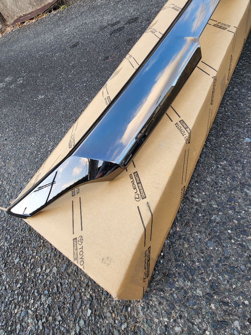 30ヴェルファイア ゴールデンアイズ ボンネット フードモール ダークメッキ