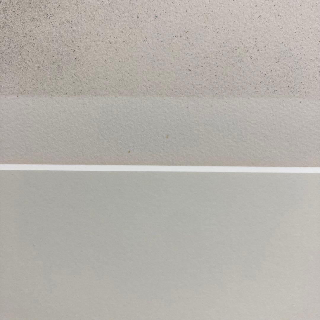 【真作保証】ジャン・ピエール・カシニョール「秋の色」リトグラフ 版画 絵画 美人