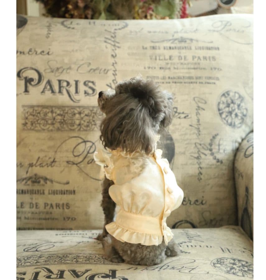 アトリエgg　Lady Silk スタンドカラー犬服