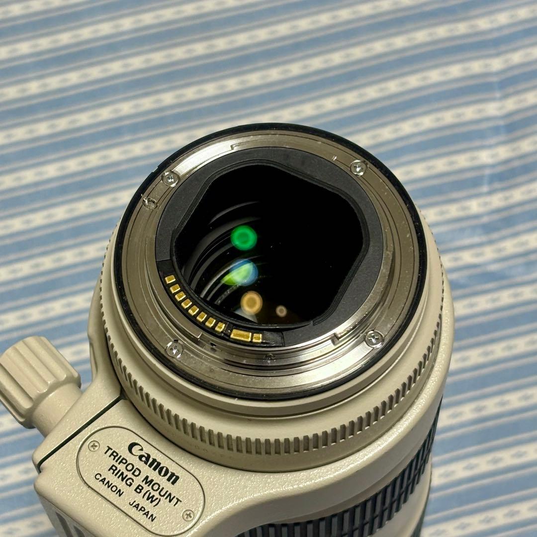 2型 EF70-200mm f2.8L IS II USM