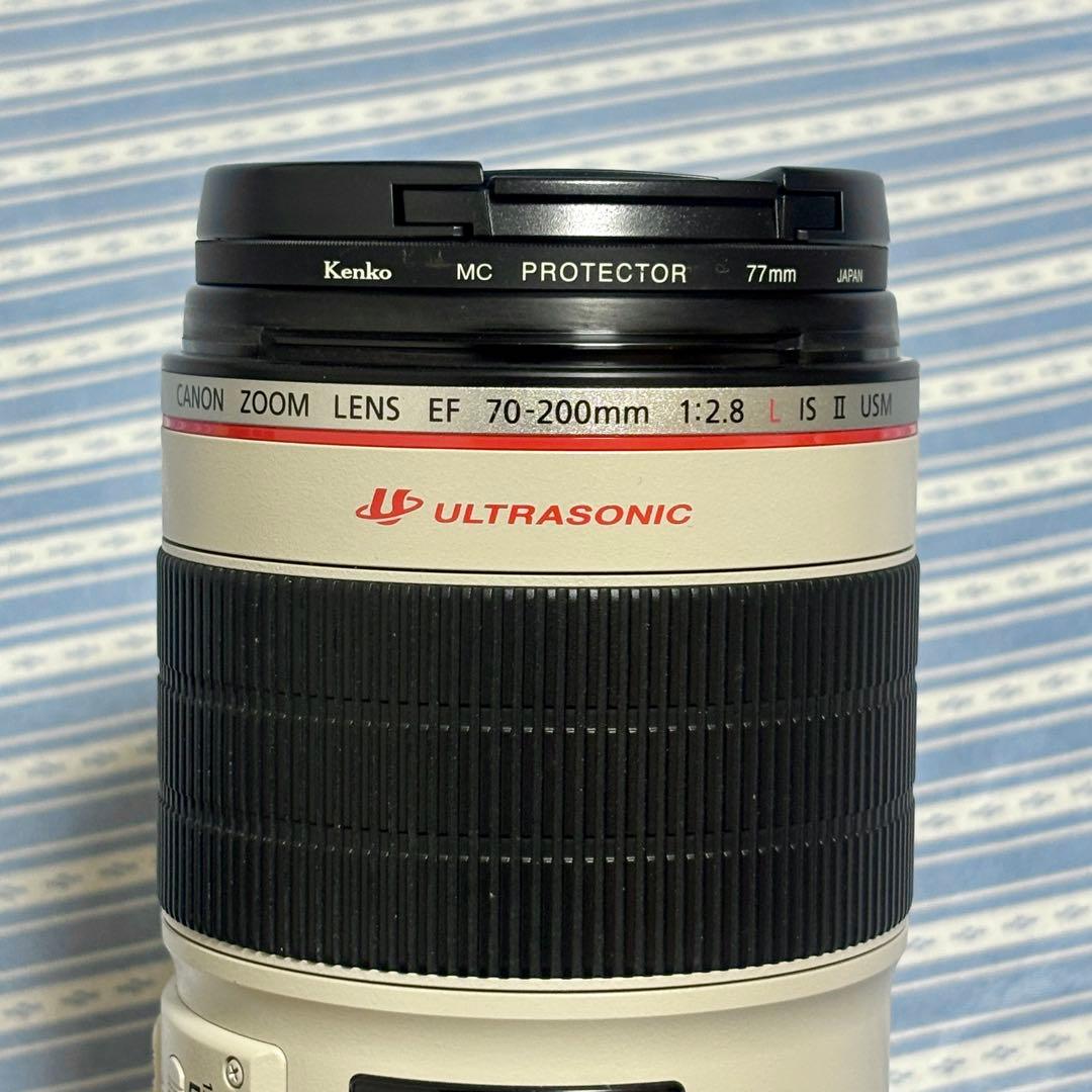 2型 EF70-200mm f2.8L IS II USM