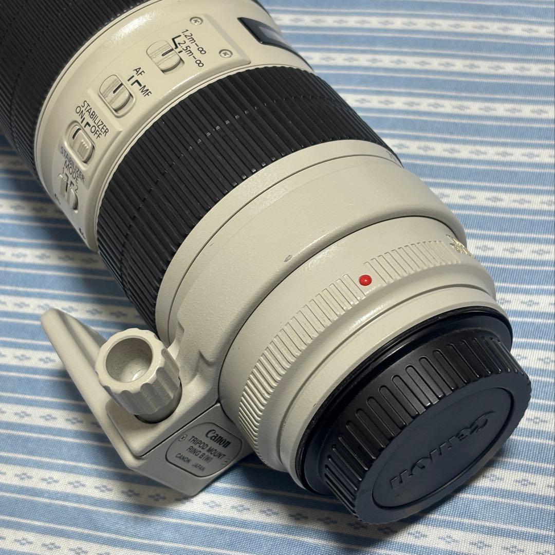 2型 EF70-200mm f2.8L IS II USM