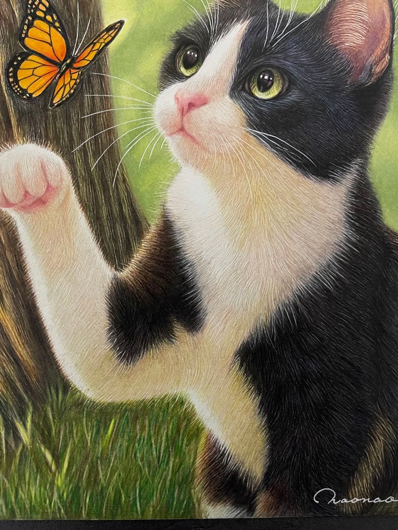 色鉛筆画 A4 ハチワレ猫131