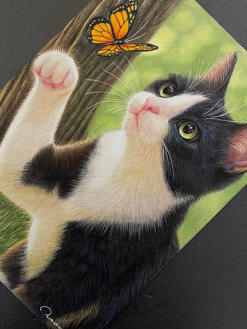 色鉛筆画 A4 ハチワレ猫131