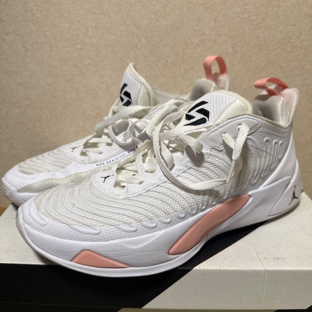 早い者勝ち‼️ ルカ1 PF DOG DAD 29cm