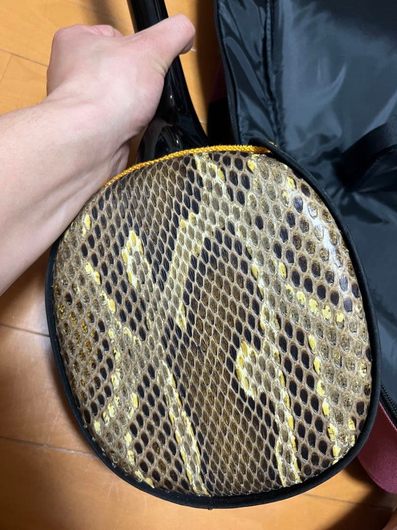 三線本体 蛇皮 金糸刺繍