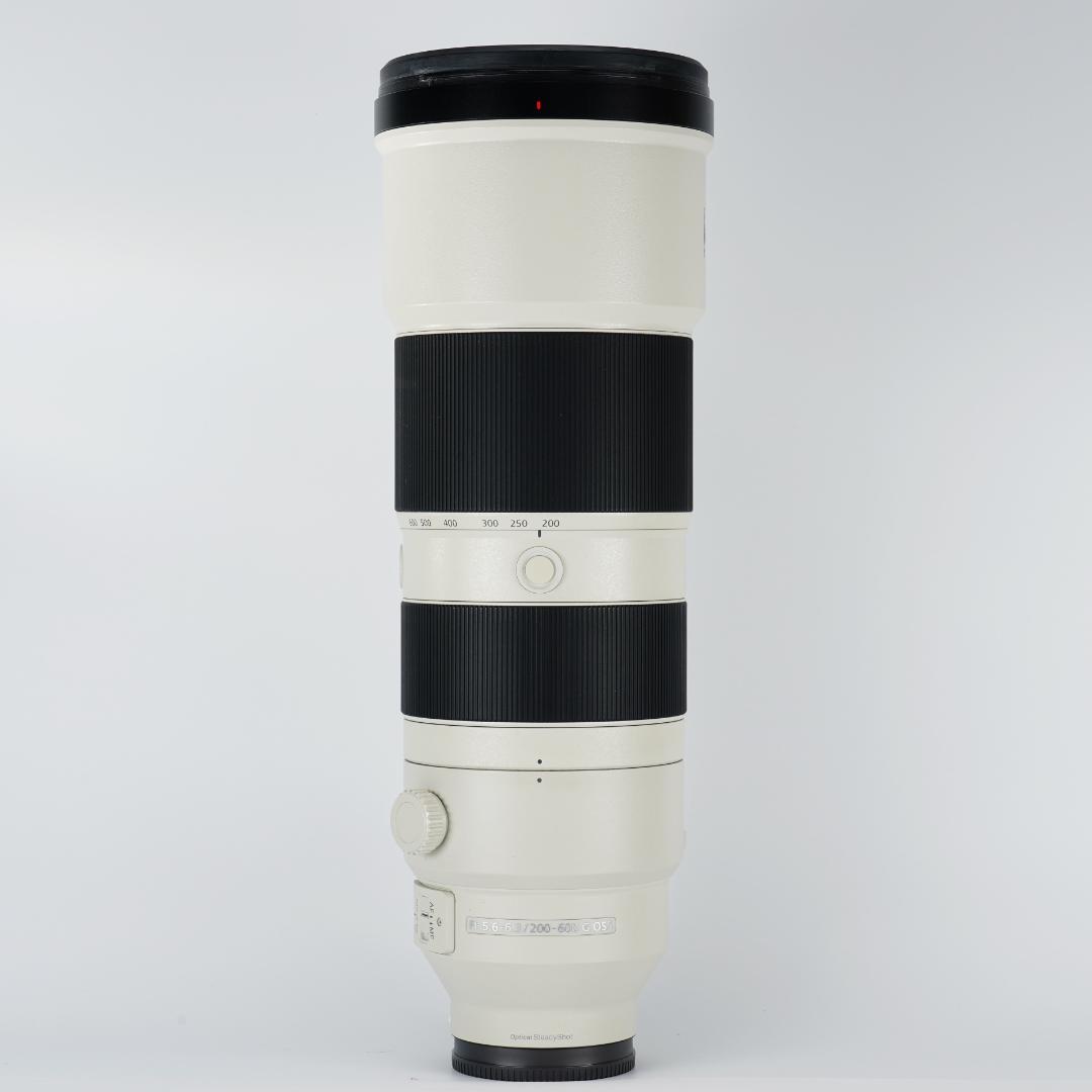 【プロ厳選】今まで撮れなかった写真が撮れるSEL200600G