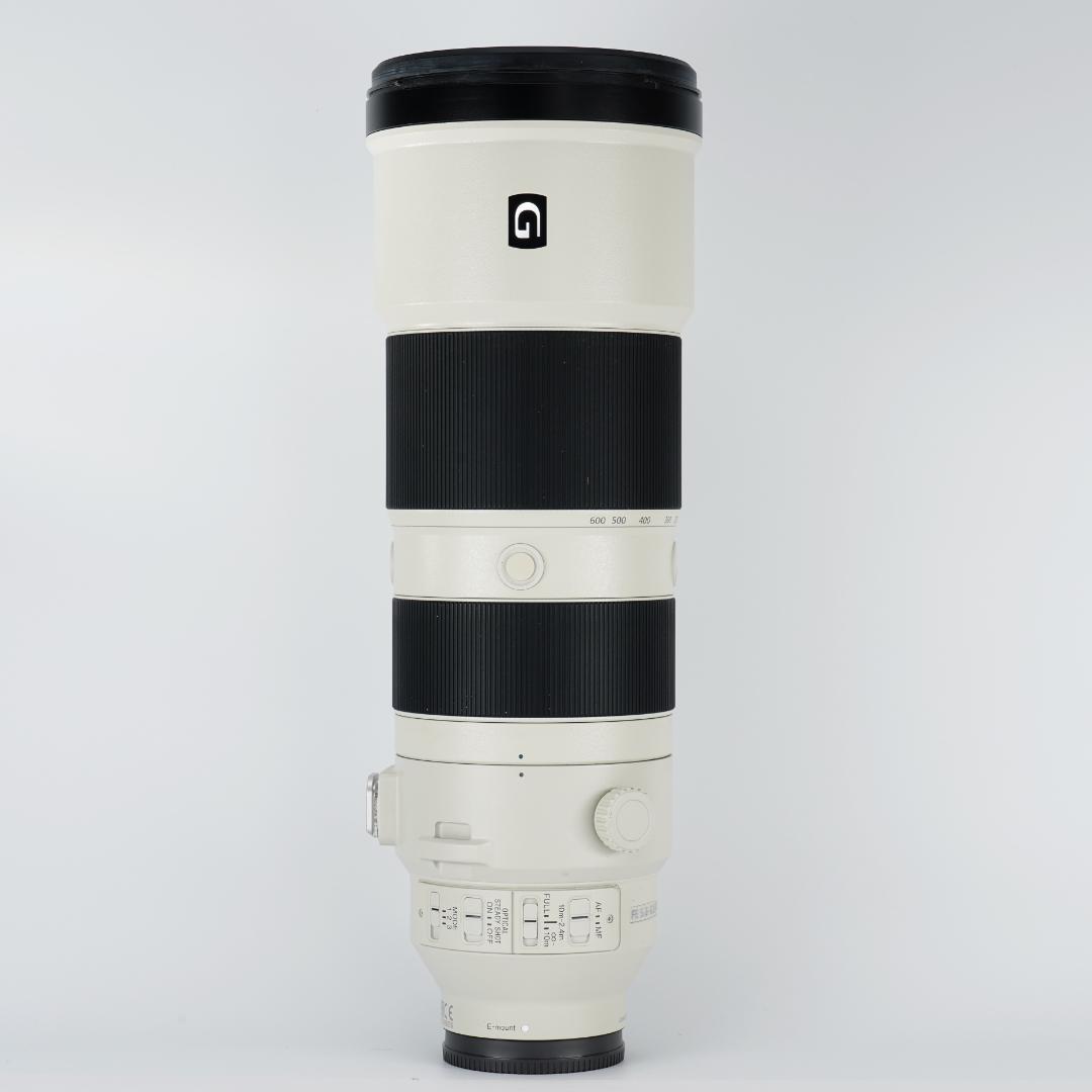 【プロ厳選】今まで撮れなかった写真が撮れるSEL200600G