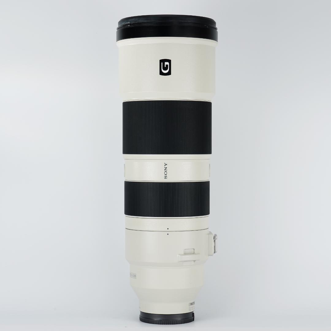 【プロ厳選】今まで撮れなかった写真が撮れるSEL200600G