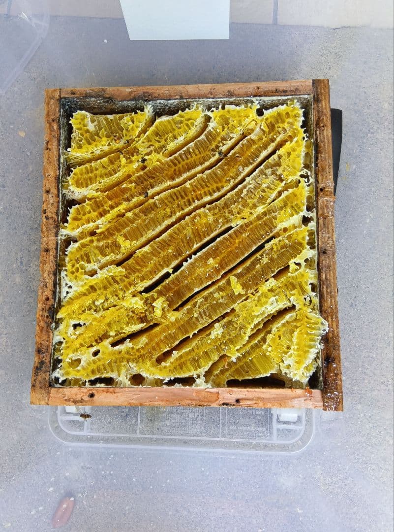 南国土佐の百花蜜　ニホンミツバチはちみつ100% 無添加　無加工　非加熱 タレ蜜