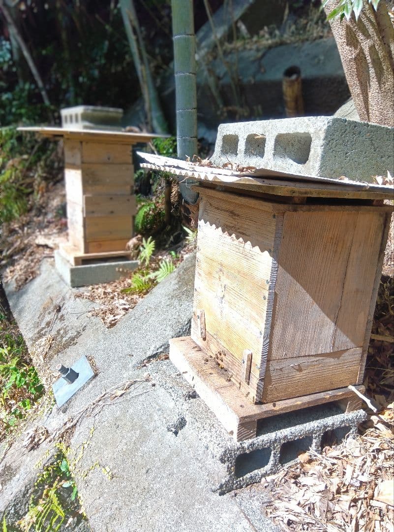 南国土佐の百花蜜　ニホンミツバチはちみつ100% 無添加　無加工　非加熱 タレ蜜