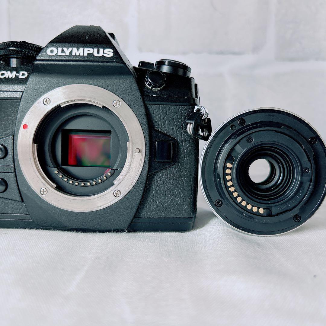 ⭐高性能　OLYMPUS OM-D E-M1 MarkII レンズセット ⭐