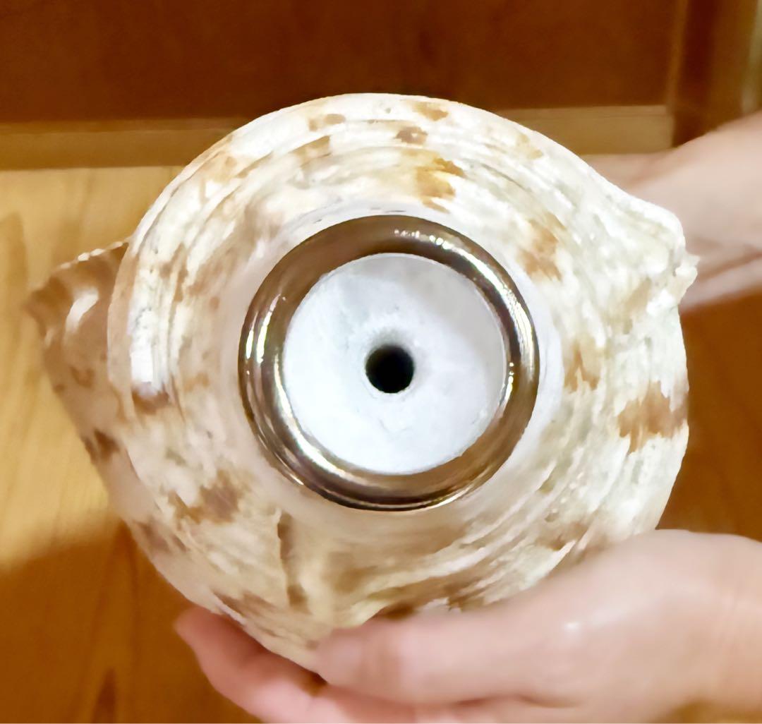 幸*ギ様 大型肉厚39㎝修験道法螺貝　山伏　密教　魔除け　熊よけ❣️ホラガイ　ほ