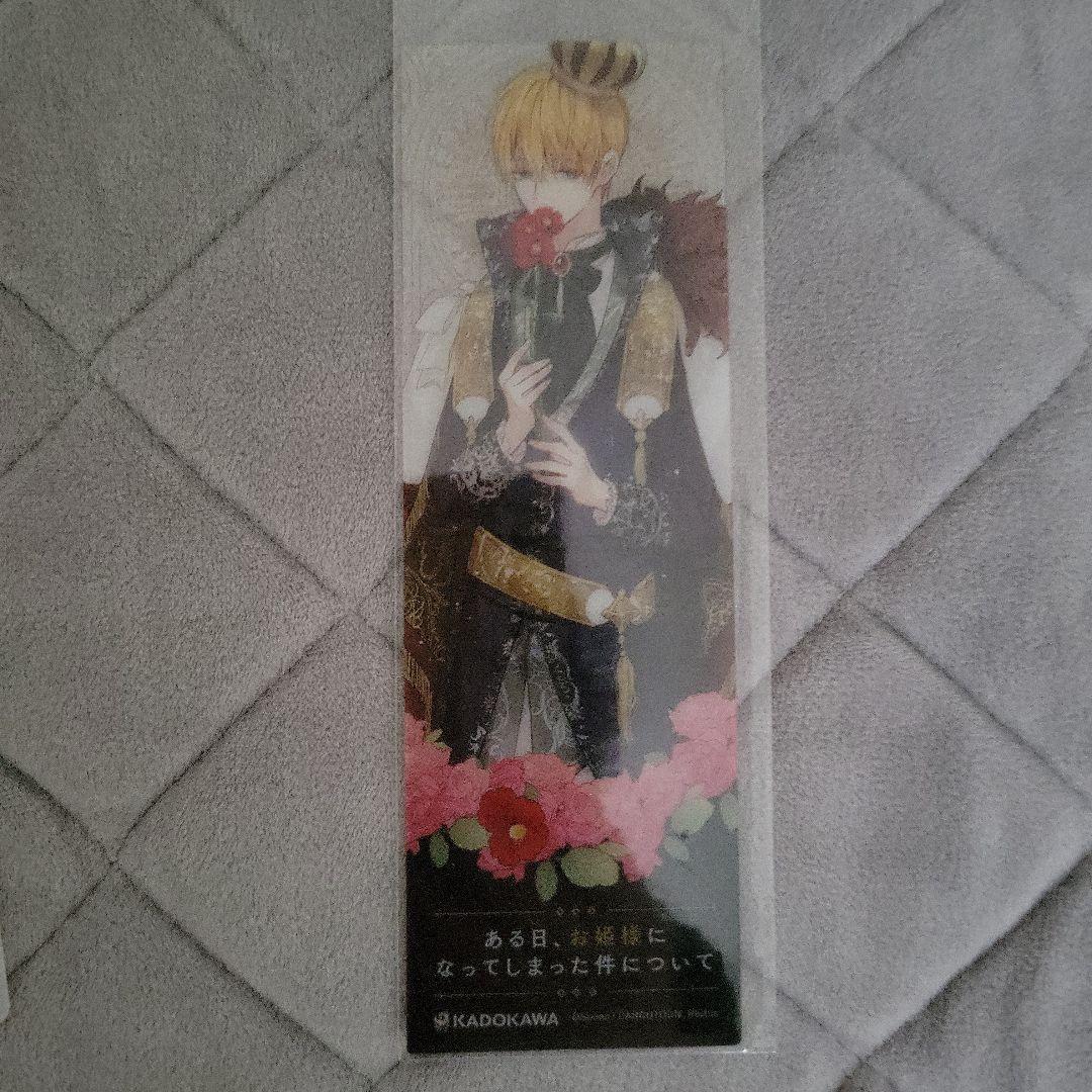 ある日お姫様になってしまった件について 1～9巻