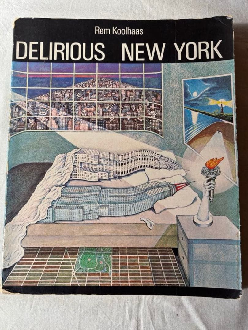 h*a様 【希少】DELIRIOUS NEW YORK　錯乱のニューヨーク　英語