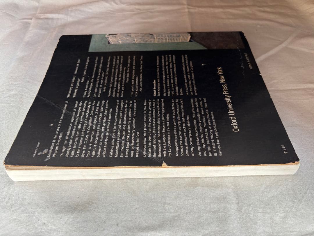 h*a様 【希少】DELIRIOUS NEW YORK　錯乱のニューヨーク　英語