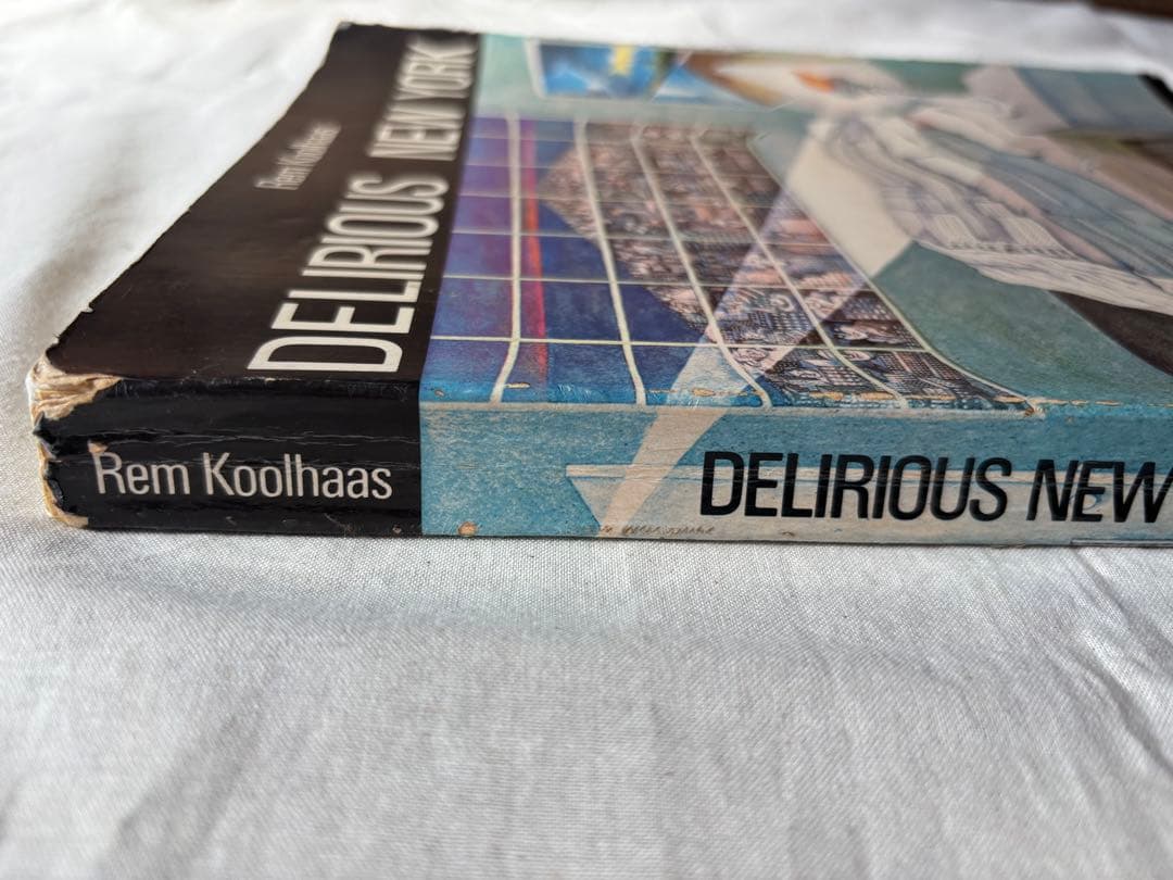 h*a様 【希少】DELIRIOUS NEW YORK　錯乱のニューヨーク　英語