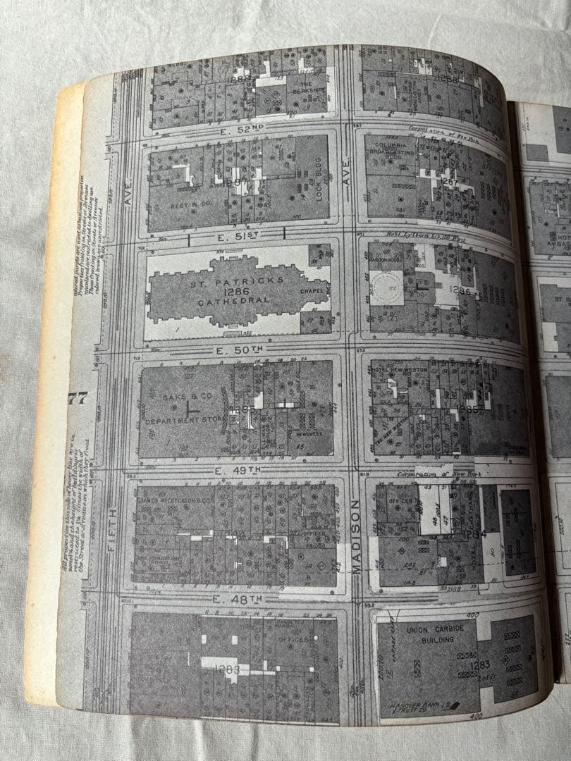 h*a様 【希少】DELIRIOUS NEW YORK　錯乱のニューヨーク　英語