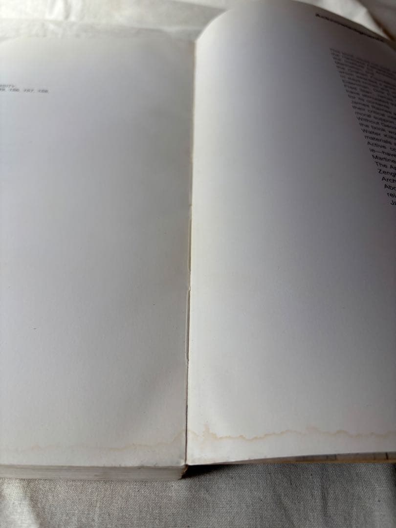 h*a様 【希少】DELIRIOUS NEW YORK　錯乱のニューヨーク　英語