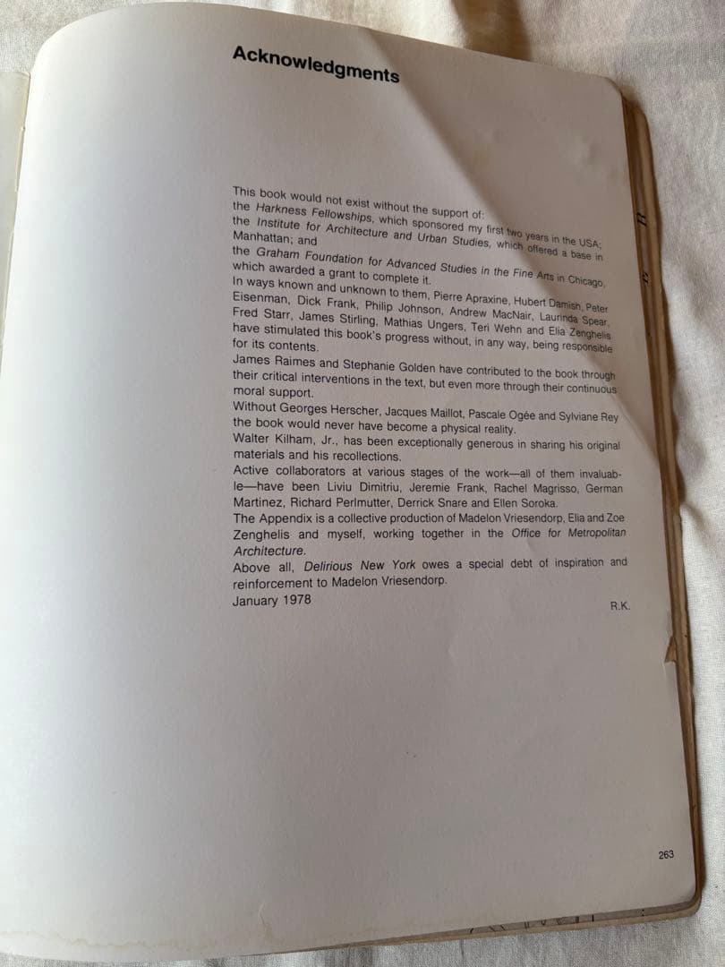 h*a様 【希少】DELIRIOUS NEW YORK　錯乱のニューヨーク　英語