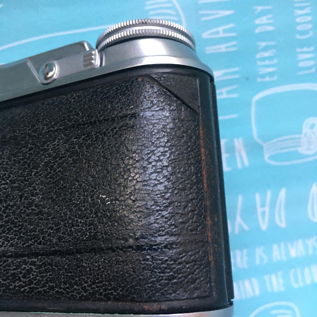 フォクトレンダー・ビトーⅡ 、ソフトフォーカス(？) スローシャッター難あり