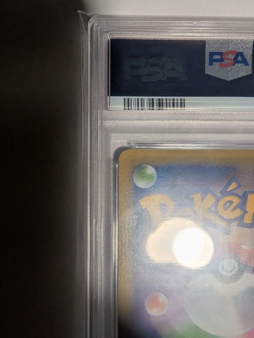 【即購入可】　PSA10　わるいギャラドス プロモカードパック 25th