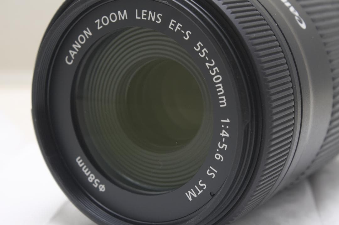キヤノン EF-S 55-250mm F4-5.6 IS STM 4382