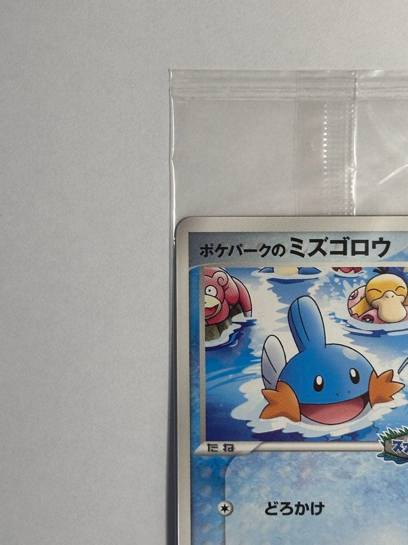 未開封　ポケパークのミズゴロウ　ポケモンカード